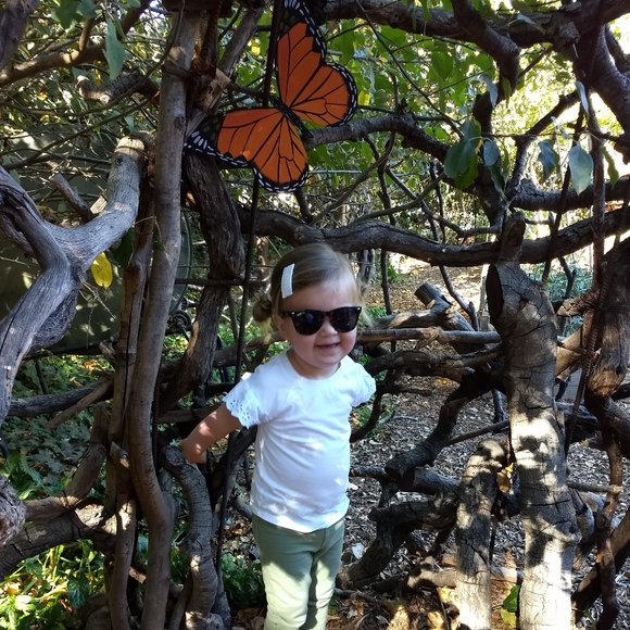 Meet your Posher, Cindy - Picture 3 of 12